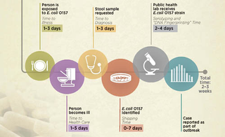 Illustration for article titled A Single Lab Tweak Stopped 270,000 Food Poisoning Cases a Year